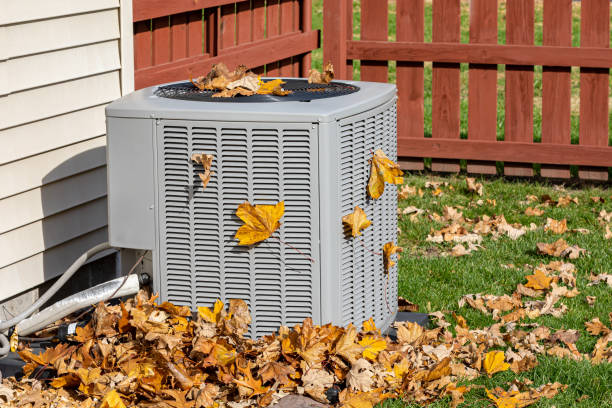 Best HVAC air duct cleaning  in Lakeland, GA
